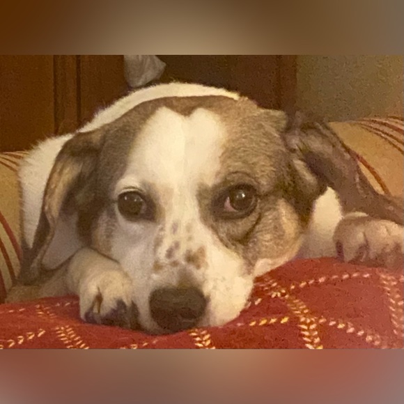 Meet Your Posher, Michael! - Picture 9 of 9